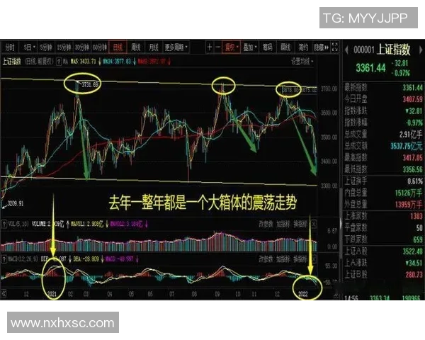 探索外围买足球的安全性与风险管理策略提升投注体验